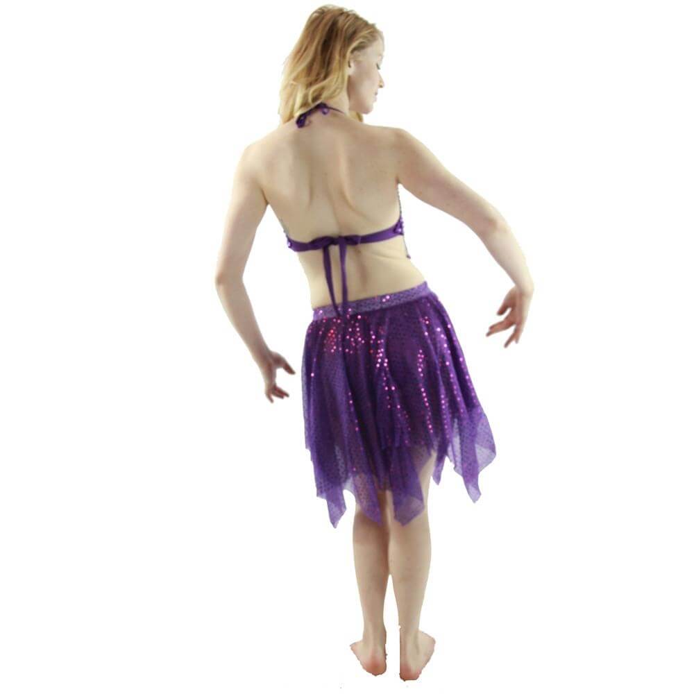 Shimmery 2-Piece Belly Dance Costume - Click Image to Close