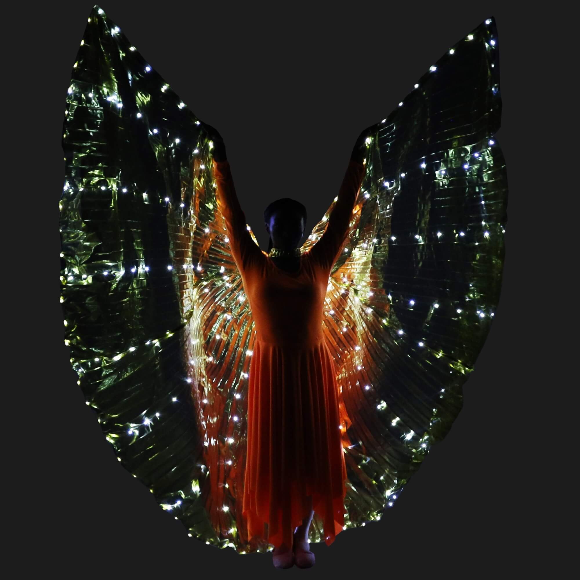 Danzcue Adult Transparent Gold Costume Angel LED Wing - Click Image to Close