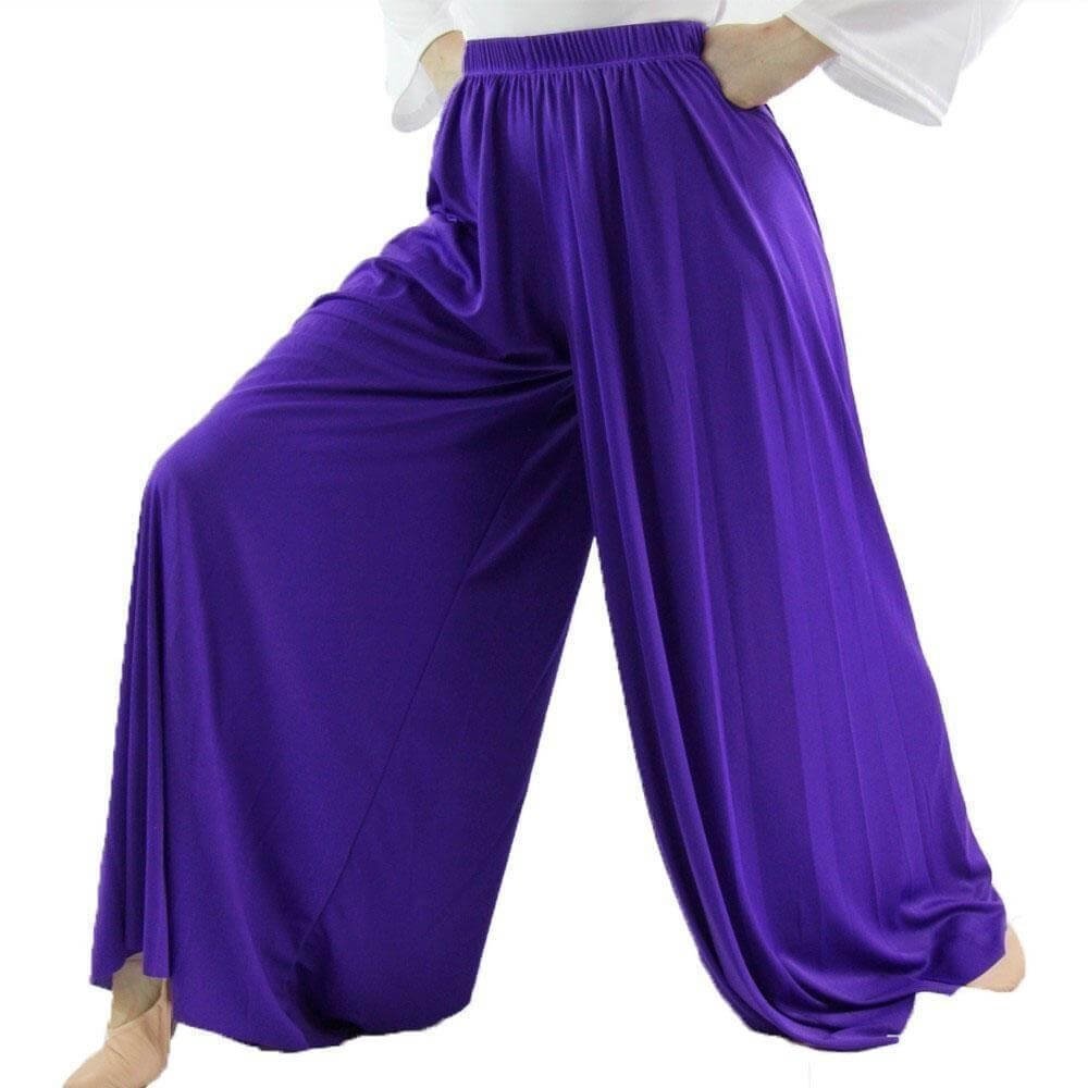 Danzcue Celebration Of Spirit Palazzo Pant