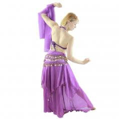 Florals 5-Piece Bra and Muslin Skirt Belly Dance Costume