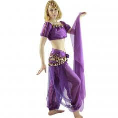 Bloomer 5-Piece Belly Dance Costume [BELST018]