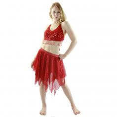 Shimmery 2-Piece Belly Dance Costume