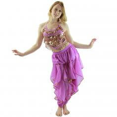 Hot Chilli 2-Piece Belly Dance Costume(Belt not included)