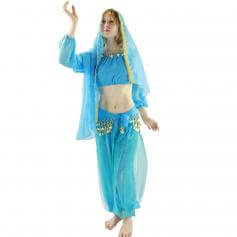 Long Sleeves Bloomer 5-Piece Belly Dance Costume