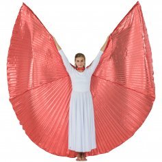 Solid Red Worship Angel Wing [BW016]
