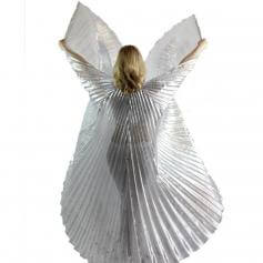 Transparent Silver Worship Angel Wing