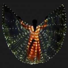 Danzcue Adult Transparent Gold Costume Angel LED Wing [BW054]