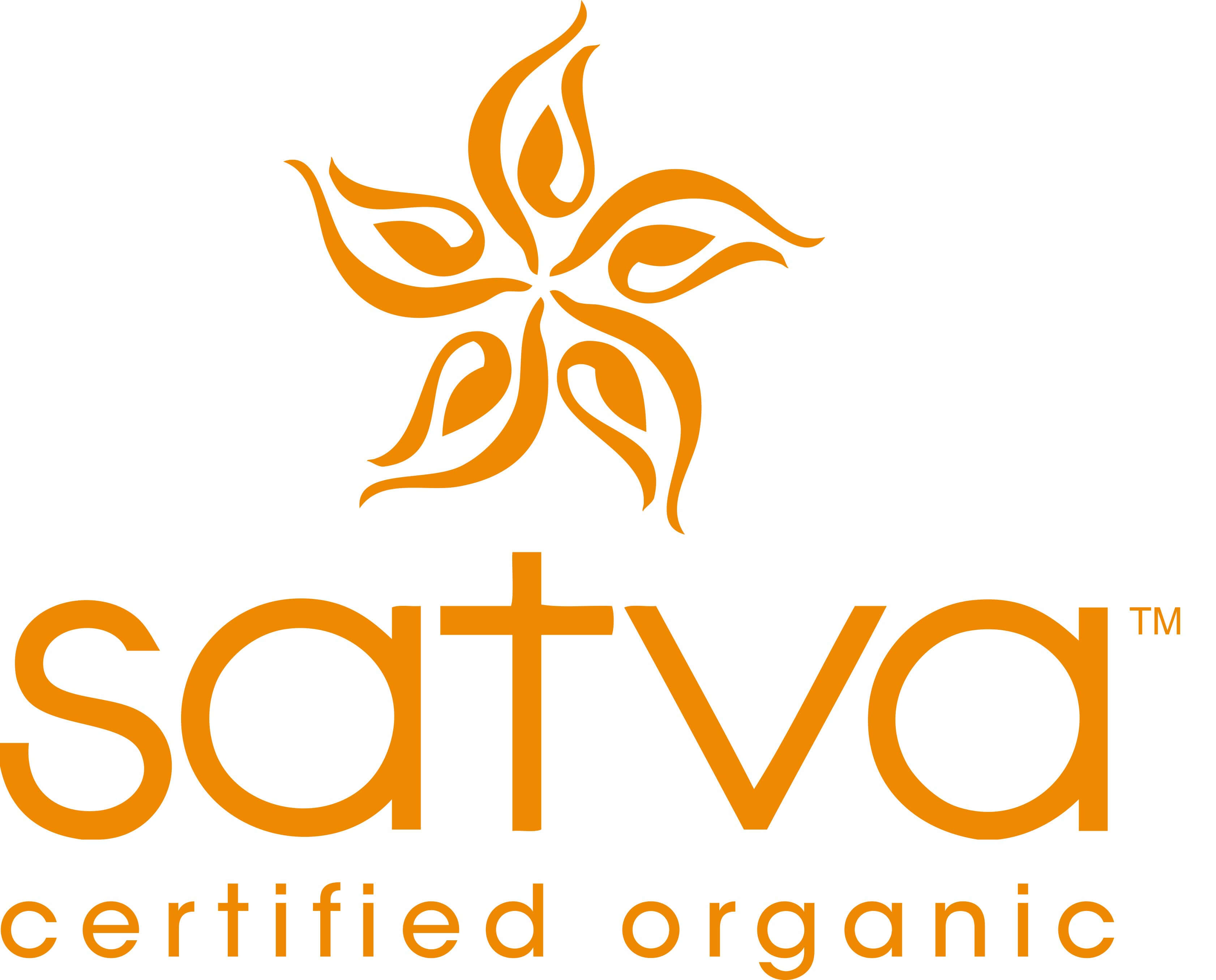 Satva Dancewear