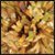 Solid Gold Getz Baton Handle 2 Color Metallic Mix Poms