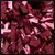 Maroon Getz Adult Solid Color Metallic Poms