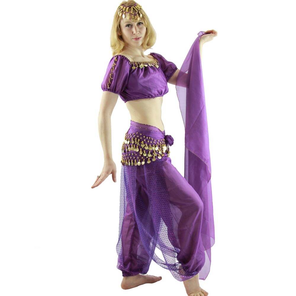 Bloomer 5-Piece Belly Dance Costume - Click Image to Close