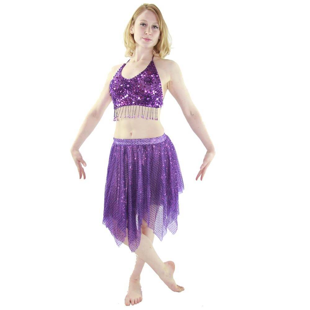 Shimmery 2-Piece Belly Dance Costume - Click Image to Close