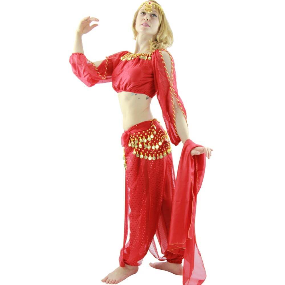 Long Sleeves Bloomer 5-Piece Belly Dance Costume - Click Image to Close