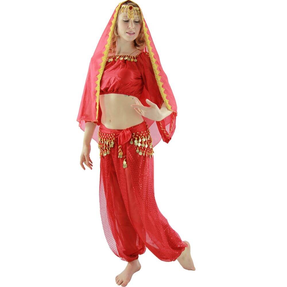 Long Sleeves Bloomer 5-Piece Belly Dance Costume - Click Image to Close