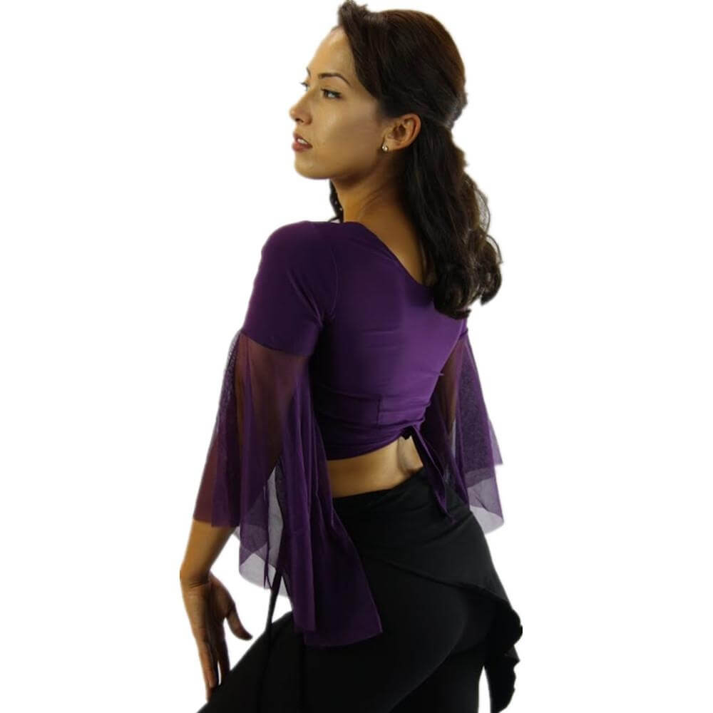 Chiffon Belly Dance Top with Transparent Sleeves - Click Image to Close