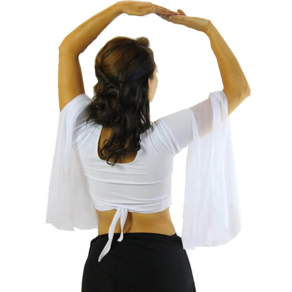 Chiffon Belly Dance Top with Transparent Sleeves - Click Image to Close