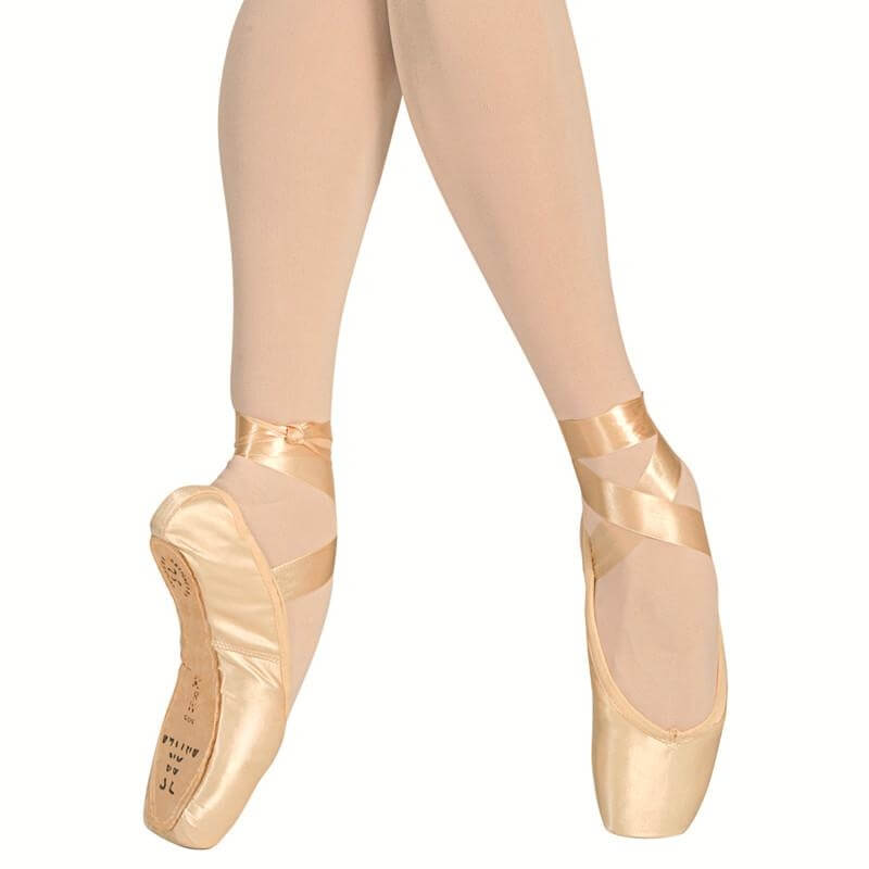 Sansha 505S "Etudes" Leather Sole Pointe Shoes - Click Image to Close