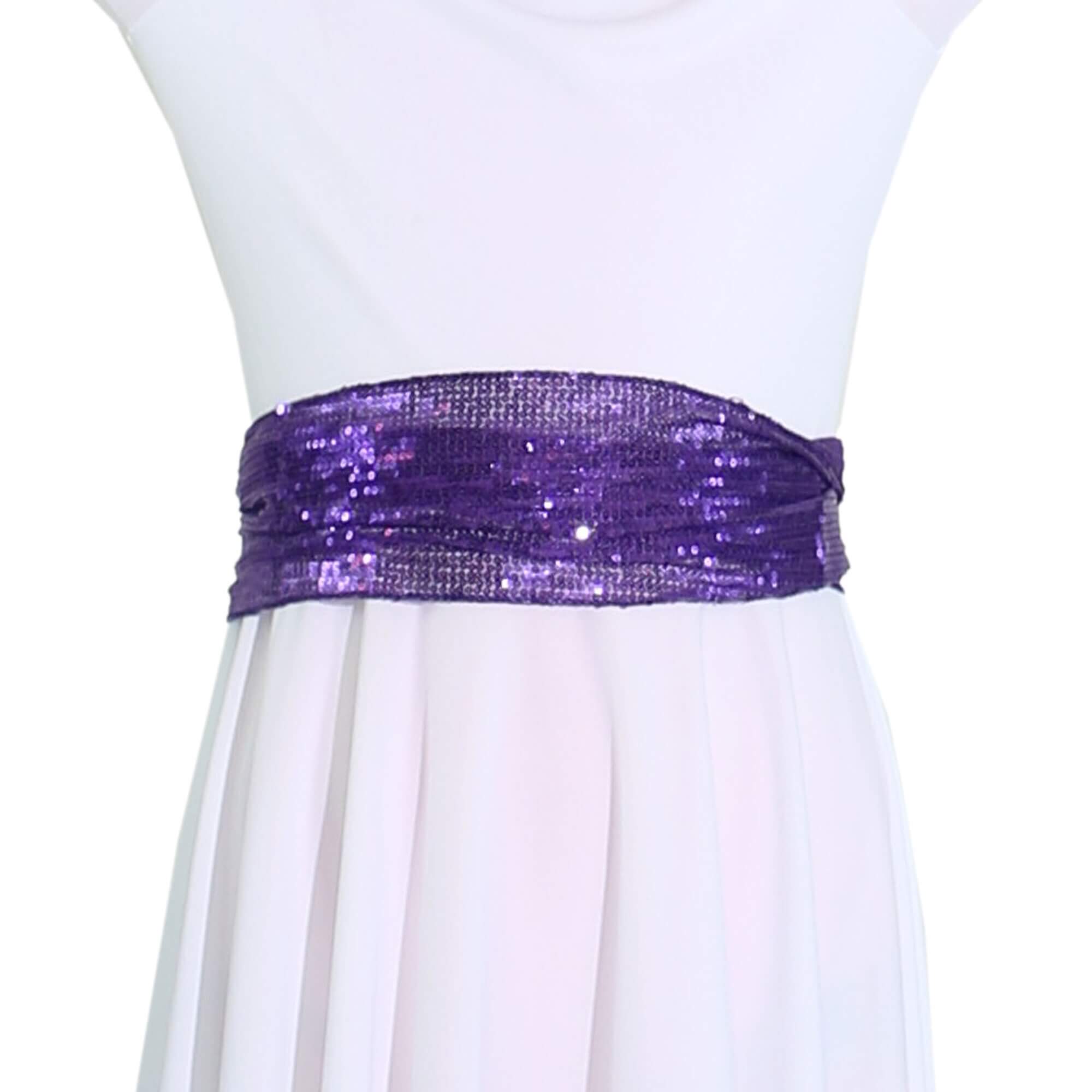 Danzcue Child Sparkling Sequin Waistband - Click Image to Close