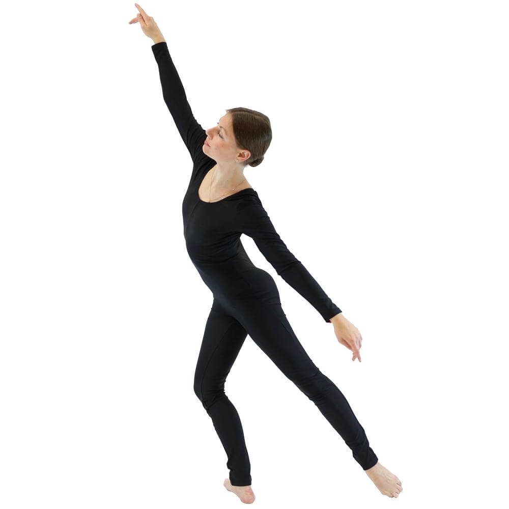 Danzcue Nylon Full Body Adult Unitard - Click Image to Close