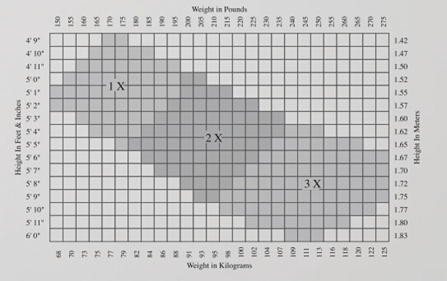 Capezio Tights Size Chart