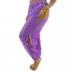 Belly Dance Harem Pants with Coins