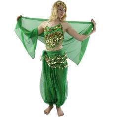 Little Pepper 5-Piece Belly Dance Costume