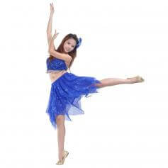 Shimmery 2-Piece Belly Dance Costume