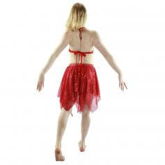 Shimmery 2-Piece Belly Dance Costume