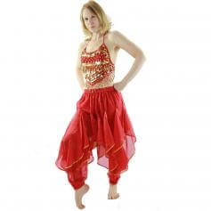 Hot Chilli 2-Piece Belly Dance Costume(Belt not included)