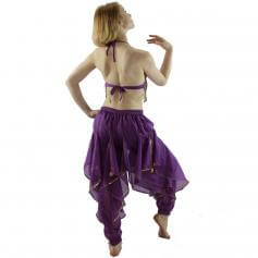 Hot Chilli 2-Piece Belly Dance Costume(Belt not included)