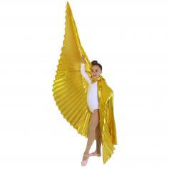 Solid Gold Worship Angel Wing