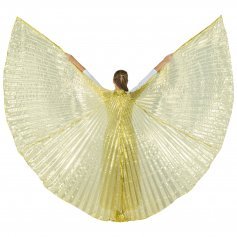 Transparent Gold Worship Angel Wing