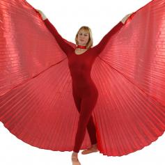 Solid Red Worship Angel Wing