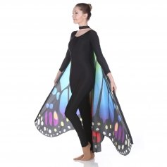 Danzcue Adult Rainbow Butterfly Wing