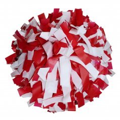 Danzcue 1 Pair 6" Dowel Handle Two Colors Plastic Cheerleading Pom Poms [DQCPS02]