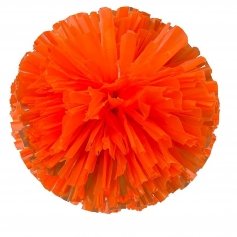 Danzcue 2PCS 6 Inch Plastic Cheerleading Pom Poms with Handle