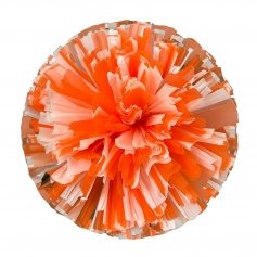 Danzcue 2PCS 6 Inch Plastic Cheerleading Pom Poms with Handle