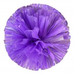 Danzcue 2PCS 6 Inch Plastic Cheerleading Pom Poms with Handle