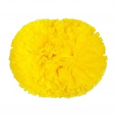 Danzcue 2PCS 6 Inch Plastic Cheerleading Pom Poms with Handle