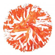 Getz Youth 2 Color Plastic Mix Poms