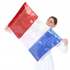 Metallic Flag with Rod